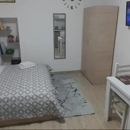 Studio Apartment *
